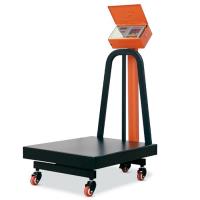 باسکول 300 کیلویی صنعتی پیام توزین مدل +TS300