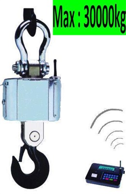 باسکول دیجیتال پند ظرفیت 30 تن مدل PT4000