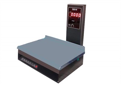ترازو پستی پند مدل PX3000